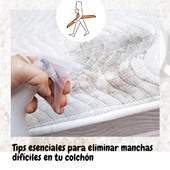 ¡Eliminar manchas del colchón nunca ha sido tan fácil! 🛏✨ Aquí van algunos tips infalibles para que luzca como nuevo:

1️⃣ Manchas de sudor: Mezcla bicarbonato con agua y aplícalo en la zona afectada. Deja actuar por unos minutos y luego retira con un paño húmedo. ¡Adiós manchas! 💧

2️⃣ Manchas de vino: Usa un poco de vinagre blanco. Frota suavemente y luego pasa un paño limpio. ¡Tu colchón lo agradecerá! 🍷

3️⃣ Manchas de sangre: El agua oxigenada es tu aliada. Aplica con cuidado sobre la mancha y deja actuar. Después retira con un paño húmedo. 💪

En Tintorería Moderna cuidamos cada detalle para que disfrutes de tu descanso sin preocupaciones. ¡Confía en los expertos para un servicio impecable! 🌟

---

Ponte en contacto con nosotros, llámanos y pide presupuesto:
☎ 927 22 45 35
📧 info@tintoreriamoderna.es

#colchónlimpio #quitarmanchas #trucosdelhogar #serviciodelavado #cuidatucasa #descansoseguro