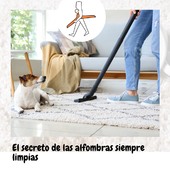 ¡El secreto para tener alfombras siempre limpias y frescas está en las manos correctas! 🌟

En Tintorería Moderna, cada fibra de tu alfombra recibe el cuidado que merece 💯. Con técnicas especializadas, eliminamos hasta las manchas más difíciles, devolviendo a cada pieza su color y textura original 🧼. Además, utilizamos productos amigables con el medio ambiente 🌍 para cuidar de tu salud y del planeta.

¿Preocupado por el precio? 💸 ¡No te preocupes! Aquí, el mejor servicio no tiene que costarte una fortuna 😉. Disfruta de alfombras impecables sin salir de casa y con toda la confianza que nuestro equipo te ofrece 👌

¿Listo para un cambio? Deja que Tintorería Moderna se encargue y renueva el look de tus espacios en un solo paso 🌿

---

Ponte en contacto con nosotros, llámanos y pide presupuesto:
☎ 927 22 45 35
📧 info@tintoreriamoderna.es

#limpiezaalfombras #cuidodelhogar #alfombrasinpecable #tintoreríamoderna #serviciodecalidad #hogarfeliz